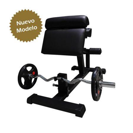 Banco Bíceps Araña